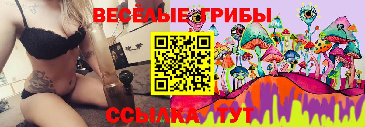 Псилоцибиновые грибы GOLDEN TEACHER  Псилоцибиновые грибы Magic Shrooms  Грозный  Вход с VPN 